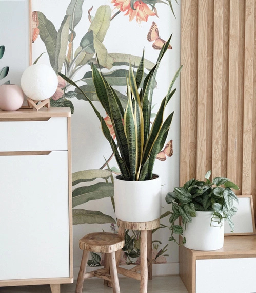 Tapeta Artystyczna Paradise