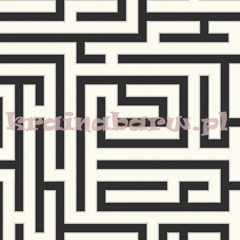 Tapeta ZN50300 Tokyo 0.19