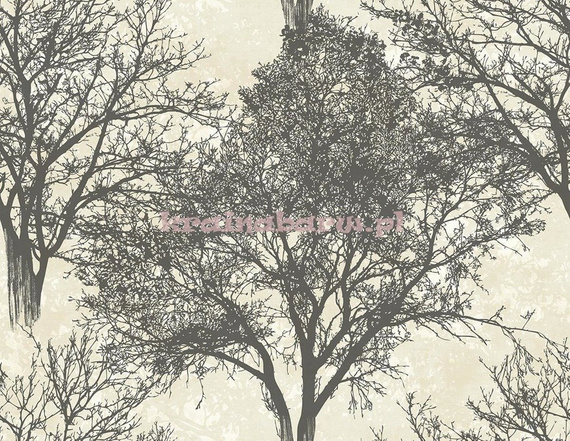 Tapeta CR41200 Ed.12