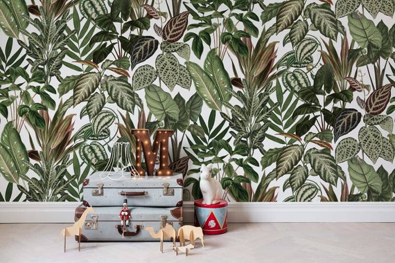 Fototapeta Ukryte Psotne Małpki