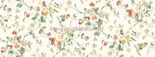 Tapeta 100/6027 Sweet pea