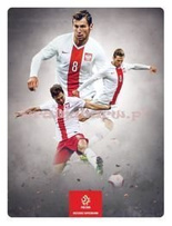 Obraz na tafli PTD231T2 piłka nozna Grzegorz Krychowiak