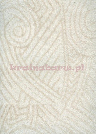 tapeta VP627 02 Natives