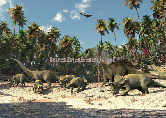 Fototapeta na flizelinie 165VE Consalnet