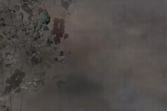 Fototapeta Glamora Edera