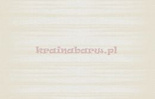 Tapeta AB206  AMBIENTE TEXAM