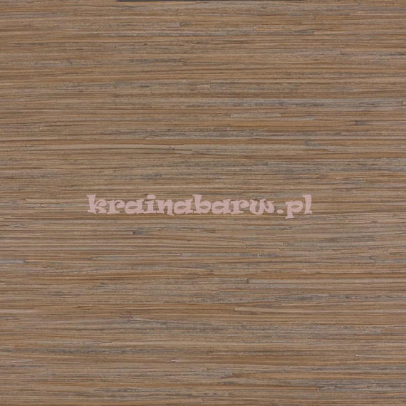 Tapeta Enea 01 Lizzo Legend