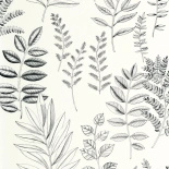 Tapeta Caselio 106660990 liście