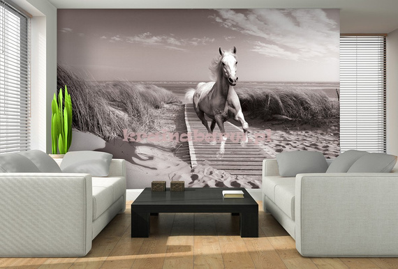 Fototapeta 3136 Koń na plaży