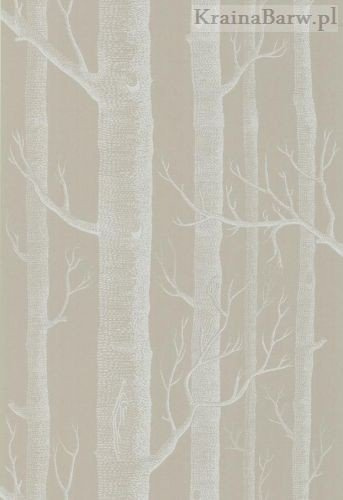 Tapeta 69/12149 Woods