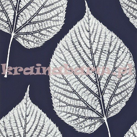 Tapeta LEAF 110371  Momentum 2