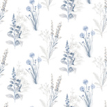 Tapeta Galerie AF37716 polne rośliny