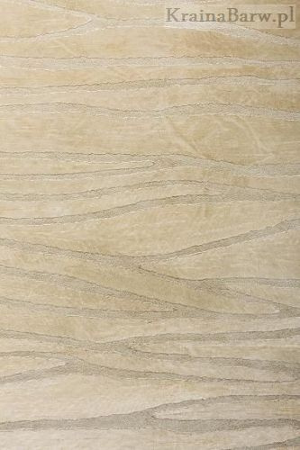 Tapeta 77836 Opulence