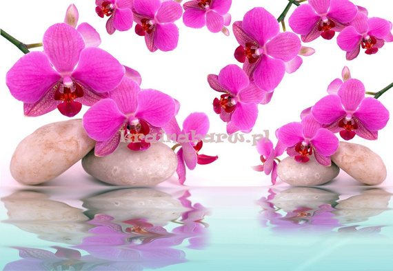 Fototapeta na flizelinie 151VE Consalnet