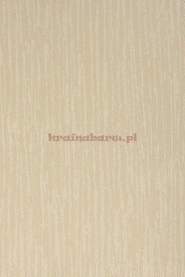 Tapeta DE21105 Rayures et Damas