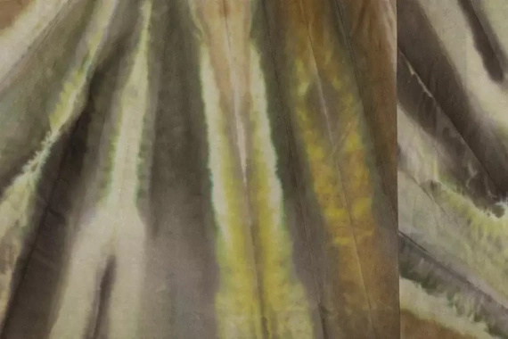 Fototapeta Glamora Agave