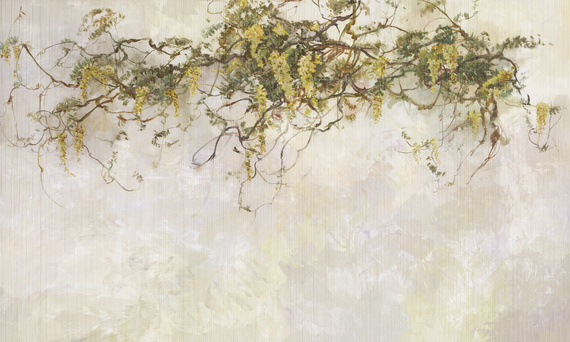 Fototapeta artystyczna Pastorale zwisające kwiaty wisteria