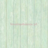 Tapeta G56440 Global Fusion