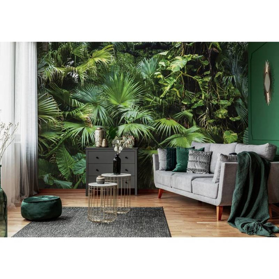 Fototapeta 14082 - Natura Liście Dżungla Ciemna Zieleń