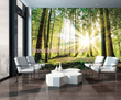 Fototapeta 10143 Słoneczny Las