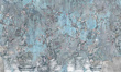 Ekskluzywny mural W japońskim ogrodzie Amare Blue