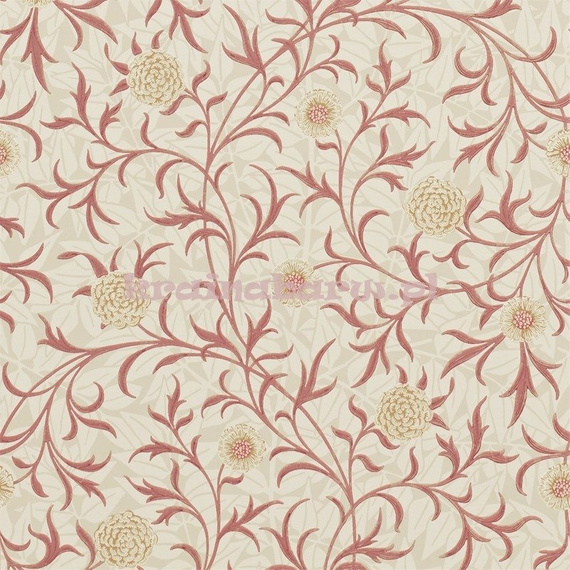 Stylowa tapeta z kwiatem nagietka w czerwieniach i beżach