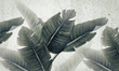 Tapeta Artystyczna Huge leaves