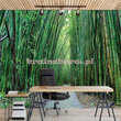 Fototapeta 12632 Bambusowa Ścieżka
