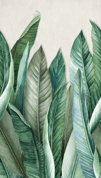 Tapeta Mural Bananier A39501