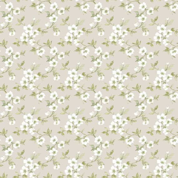 Tapeta Galerie G78488 kwiatki