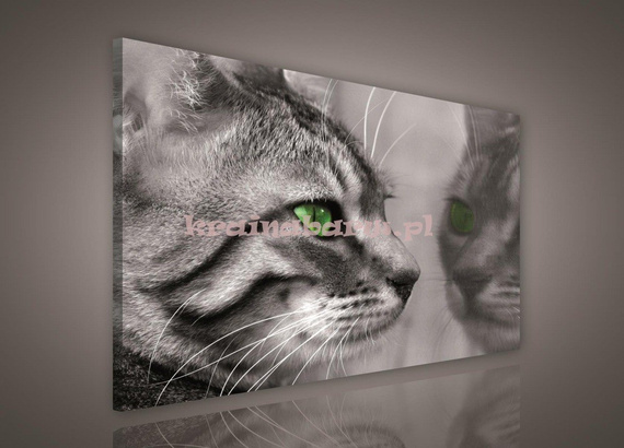 Obraz na płótnie PP181O1 Kot
