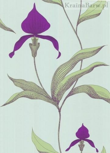 Tapeta 66/4027 Orchid