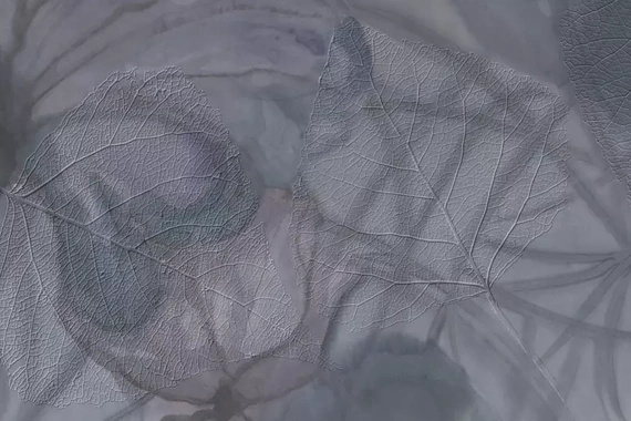 Fototapeta Glamora Gaia