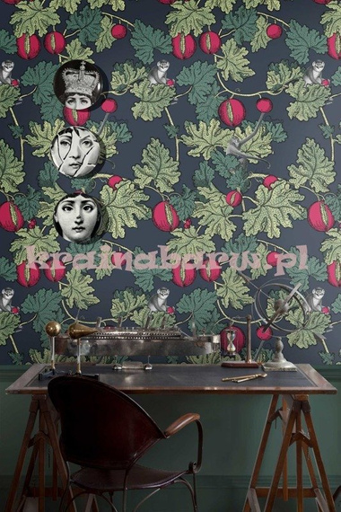 Tapeta 114/1001  Fornasetti Cole & Son