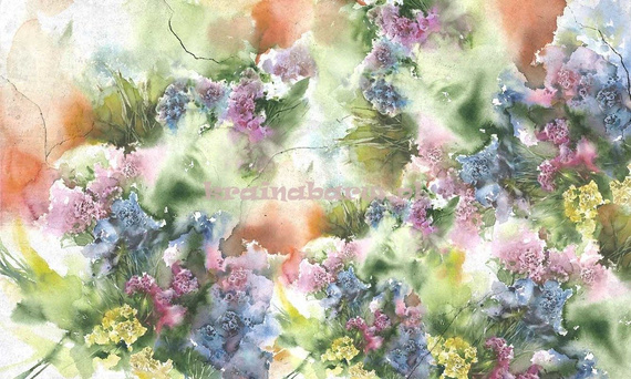 Fototapeta na flizelinie Limonium