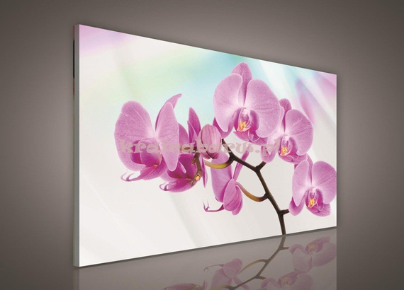 Obraz na płótnie PP124O1 Storczyk