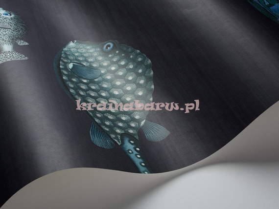 Oryginalna tapeta akwarium  zachwycające ryby na granatowym tle