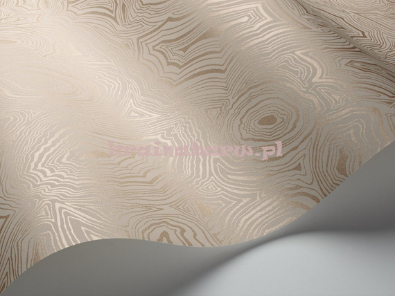 Tapeta 114/6011 Fornasetti Cole & Son