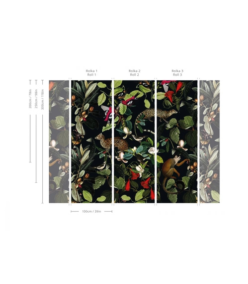 Tapeta Artystyczna The Jungle Book Black