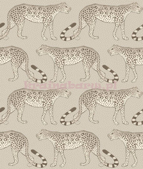 Tapeta 109/2012 Ardmore