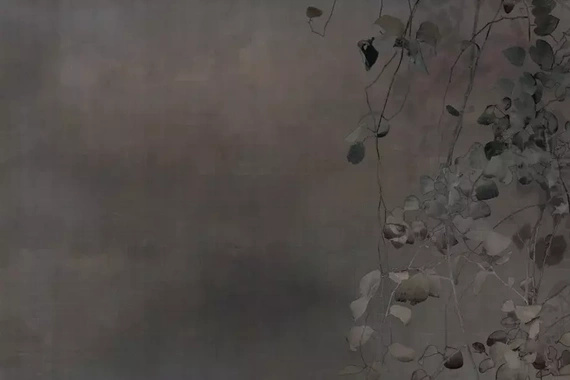 Fototapeta Glamora Edera