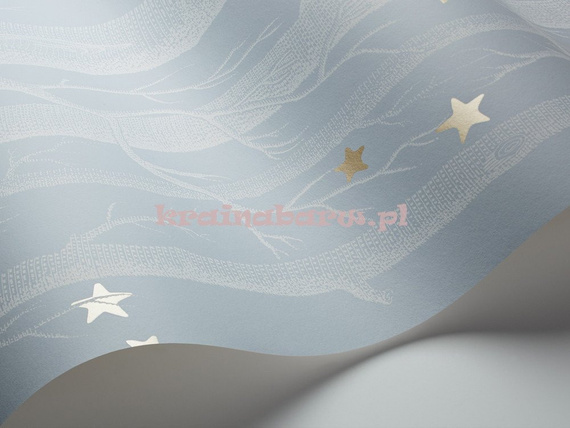 Tapeta 103/11051 Whimsical