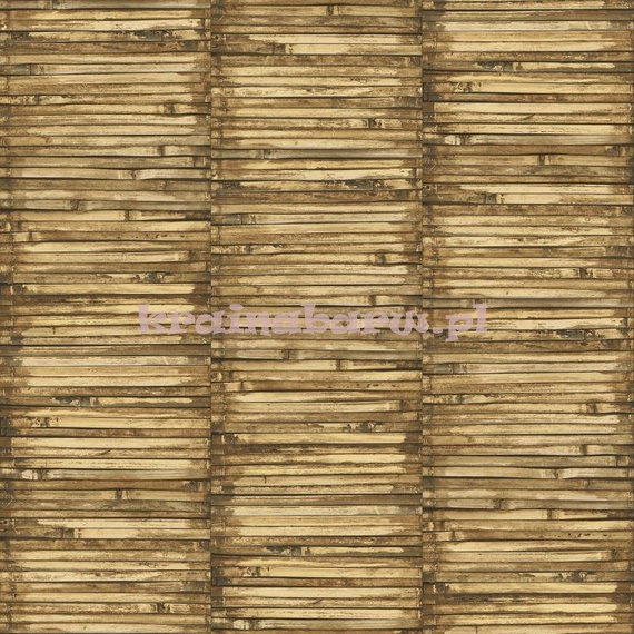 Tapeta G56386 Global Fusion