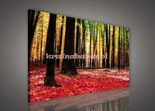 Obraz na płótnie PP499 Kolorowy las