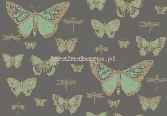 Tapeta 103/15067 Whimsical