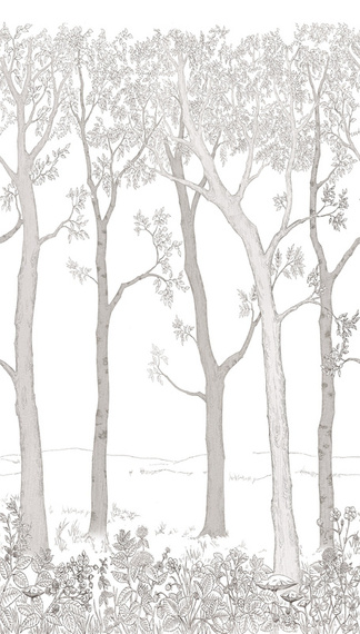 Tapeta Mural ML1701 Trees