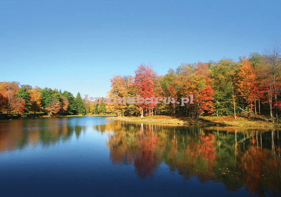 Fototapeta 12113 JESIEŃ