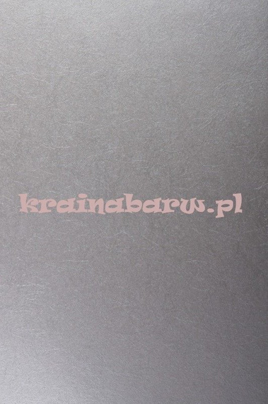 Tapeta srebrzysto szare metaliczne jednobarwne tło 