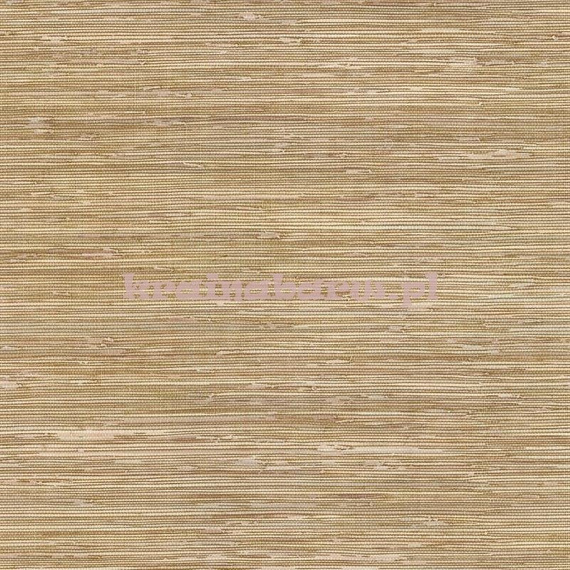 Tapeta z klejem  BG21536 Texture Style