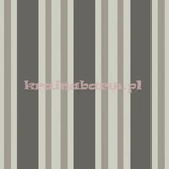 Tapeta 110/1001 Marquee Stripes